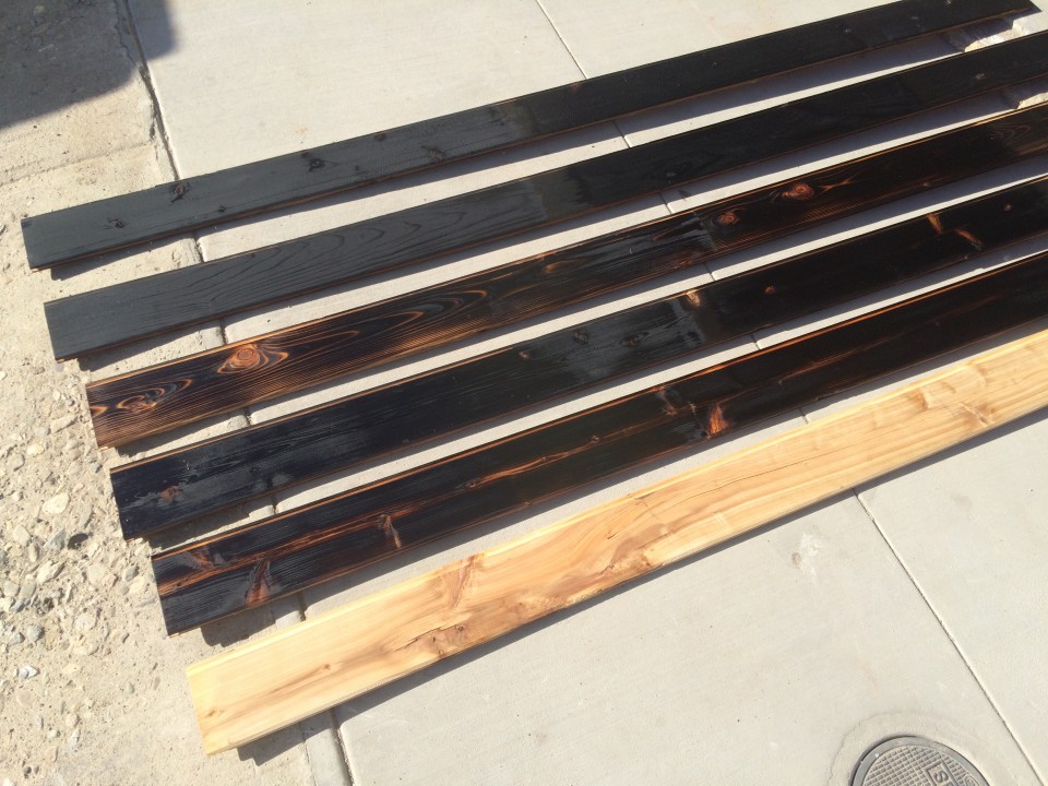 charred wood samples