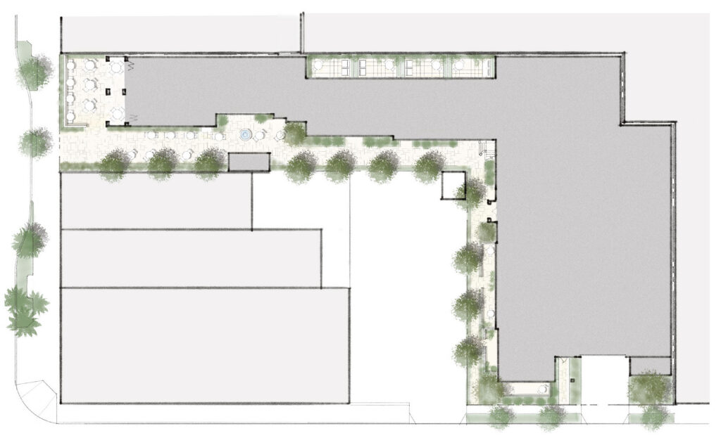 Color Site and Landscape Plan