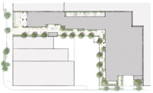 Color Site and Landscape Plan