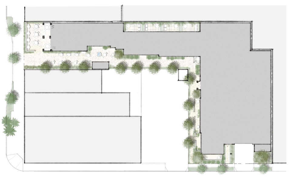 Color Site and Landscape Plan